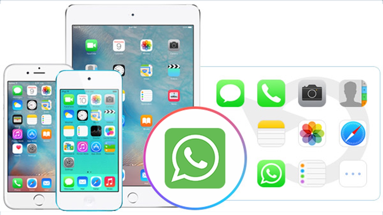 restore whatsapp chat from android to iphone